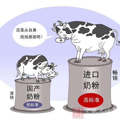 国产奶粉遭滑铁卢 三聚氰胺后占有率降一半(2