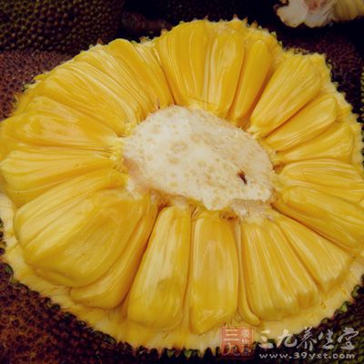 菠萝蜜怎么吃 菠萝蜜的养生吃法(15)