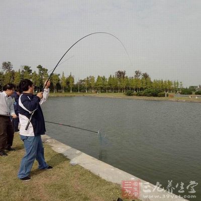 水位稳定后，选沟口汇集的大水面，以及庄稼地附近，那里食物较多