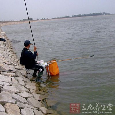 素饵有粉饵、颗粒饵、草饵之分，荤饵有虫饵、块饵之别