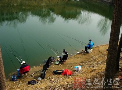 垂钓环境的选择会直接影响你抛竿、溜鱼和心情的好坏，应该选择向阳、背风、枝繁叶茂的地点