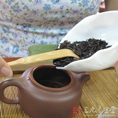 一茶一壶保护茶性