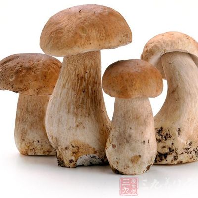 草菇可将草菇洗后清炒