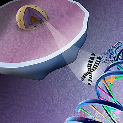 深圳市二医院发现肾癌脑转移突变基因