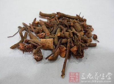 芦茹的药用价值与应用