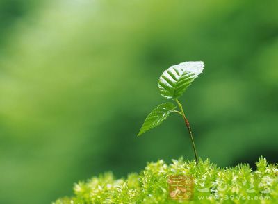 春季來臨，天氣回暖，萬物復(fù)蘇，整個人的心情也變得春意盎然