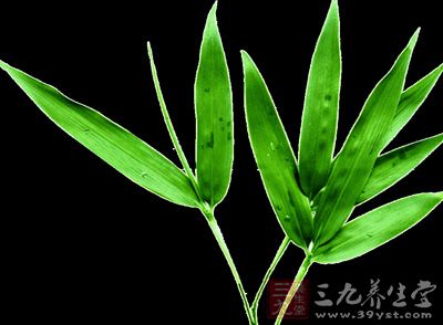 竹叶的功效与作用 竹叶的方剂及治病偏方