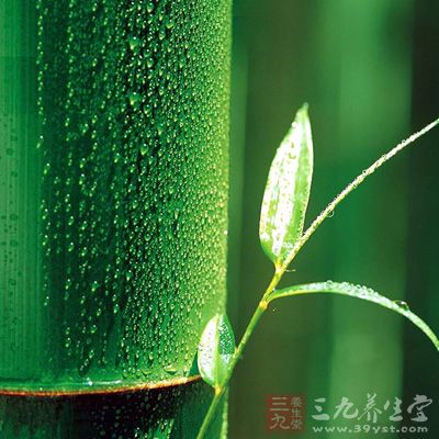 竹叶的功效与作用 竹叶的方剂及治病偏方