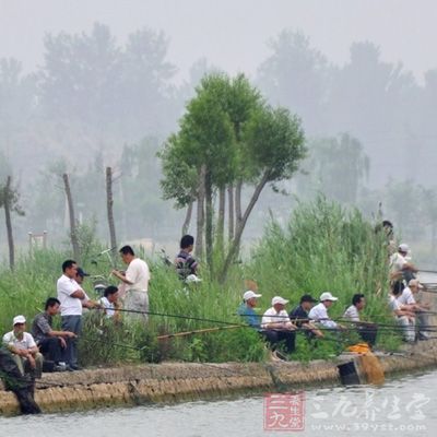 饵料是钓鱼中至关重要的一环，饵料控制的好上鱼自然就多