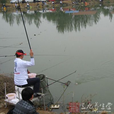 竞技钓鱼技巧饵料为主