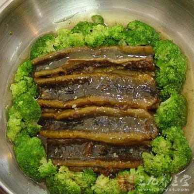 肉苁蓉蒸青鳝怎么做