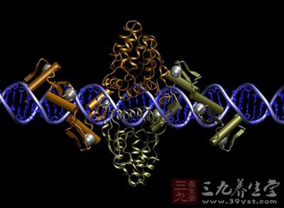 《科学》杂志关注中科院最新衰老研究