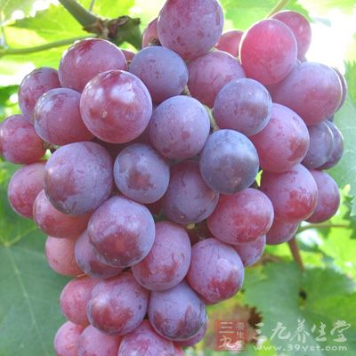 夏季養(yǎng)生多吃葡萄不上火