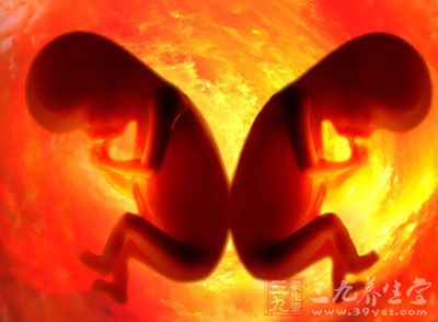 为何女胎比男胎更易胎死腹中