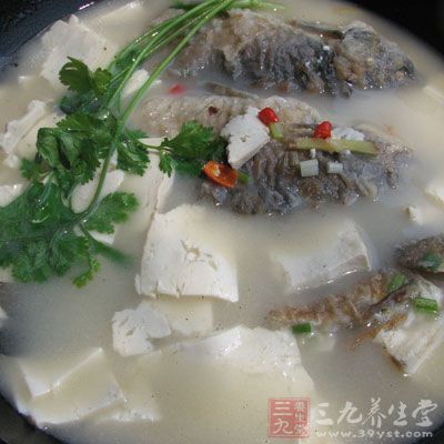 鯽魚豆腐湯怎么做