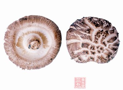 花菇和香菇的区别 进一步认识这两种菌类
