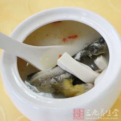 鰍豆腐湯，主要有補(bǔ)中益氣，利尿，去濕健脾，補(bǔ)腎等功效