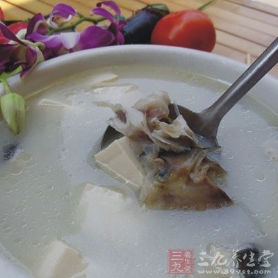 泥鳅豆腐白菜汤