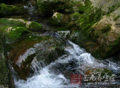 你喝过山泉水吗