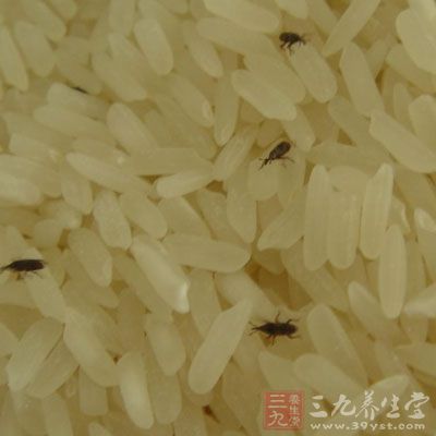 南宁发霉大米制成问题米粉 米粉厂已被停产