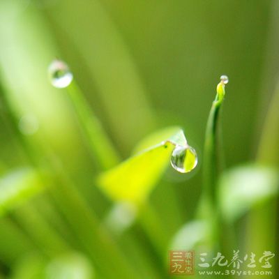 竹叶去火保湿喷雾