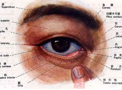 春暖花开了结膜炎高发了