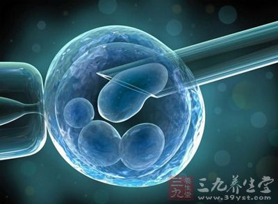 细胞移植治疗脊髓损伤的研究进展 - 三九养生堂