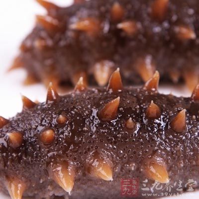 富有胶质的食物:如海参、猪脚、蹄筋等,也是丰胸圣品 1732434_205220096085_2