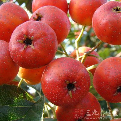 可取山楂用沸水冲泡,代茶饮,茶淡为度 可取山楂用沸水冲泡,代茶饮,茶淡为度