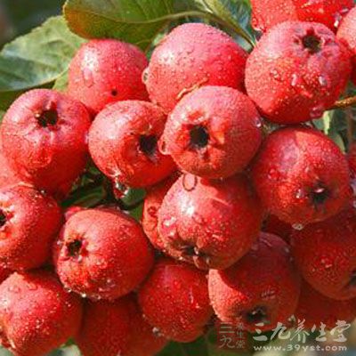 气虚忌食物品：山楂、佛手柑