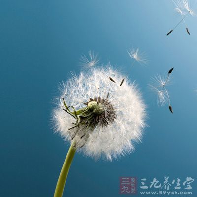 蒲公英、半枝莲各20克