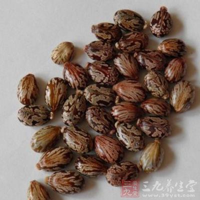 头发稀少 八个方法让头发变浓密(9)