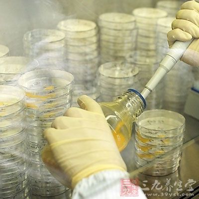 幽门螺杆菌感染 幽门螺杆菌感染