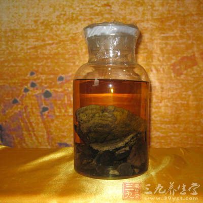 鹿茸酒可生精髓肺强筋骨,降血压,强心肌,提高工作效率 lingzhipaojiu