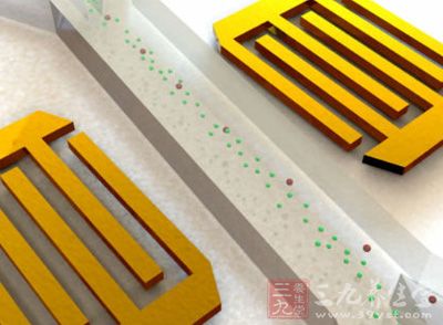 声波助力检测循环肿瘤细胞