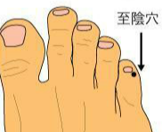 至阴何以治疗胎位不正?