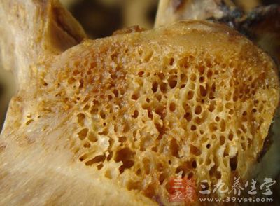 豹骨有追风定痛、强筋壮骨的功效 豹骨有追风定痛、强筋壮骨的功效