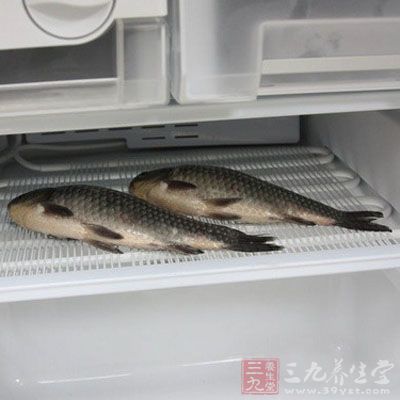 将鱼放到冷冻柜至结冰 将鱼放到冷冻柜至结冰