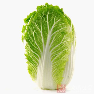 白菜性微寒、味甘,具有解毒除热、通利肠胃的功能 bczs01