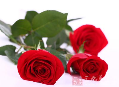 玫瑰一直就是一种备受人们喜爱的美容材料