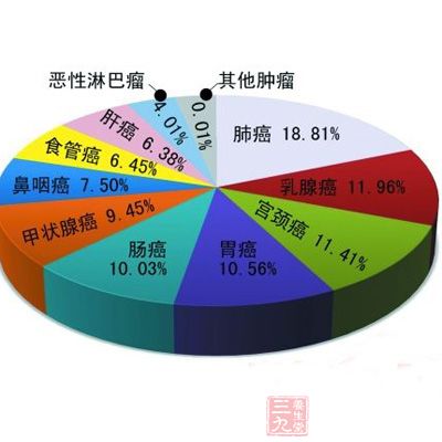 中国人口分布饼状图_中国人口分布动态地图演示(3)