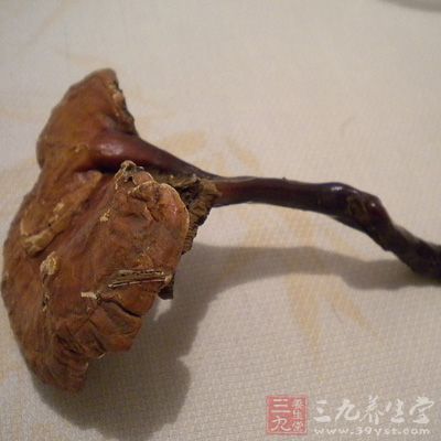 靈芝(學(xué)名：Ganoderma Lucidum Karst)，外形呈傘狀，菌蓋腎形、半圓形或近圓形，為多孔菌科真菌靈芝的子實(shí)體。具有補(bǔ)氣安神、止咳平喘的功效，用于眩暈不眠、心悸氣短、虛勞咳喘