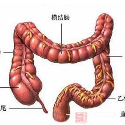 肚子痛怎么办(5)