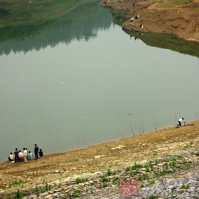 水庫里的魚，與池塘里的魚是不相同的，也別是某些大水庫，由于不易捕撈