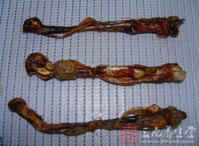 海狗鞭神奇的藥用功能被歷代醫(yī)學(xué)名家推崇補(bǔ)腎固元、祛病強(qiáng)身、抗衰益壽之珍品