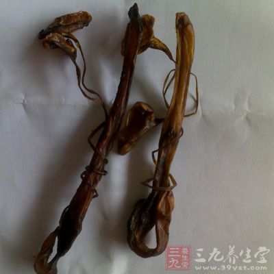 蛤粉炒取潔凈蛤粉，置鍋中加熱后，投入海狗腎片拌炒，至全部鼓起時，取出，篩去蛤粉