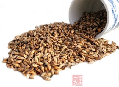 麦芽能消化米面类食物，用于米面类食物引起的食积