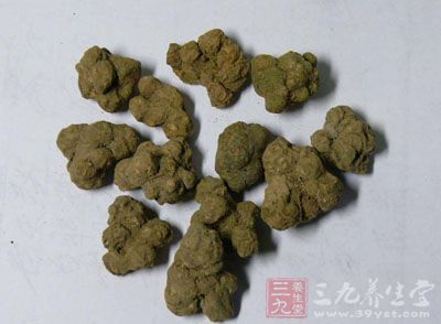 夏天无的药用价值与应用