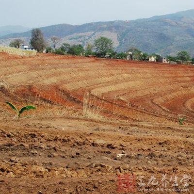 果园的建立 宜林地的选择