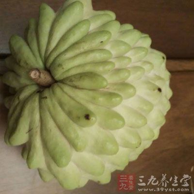 釋迦還具有抗真菌和抗寄生蟲的功效